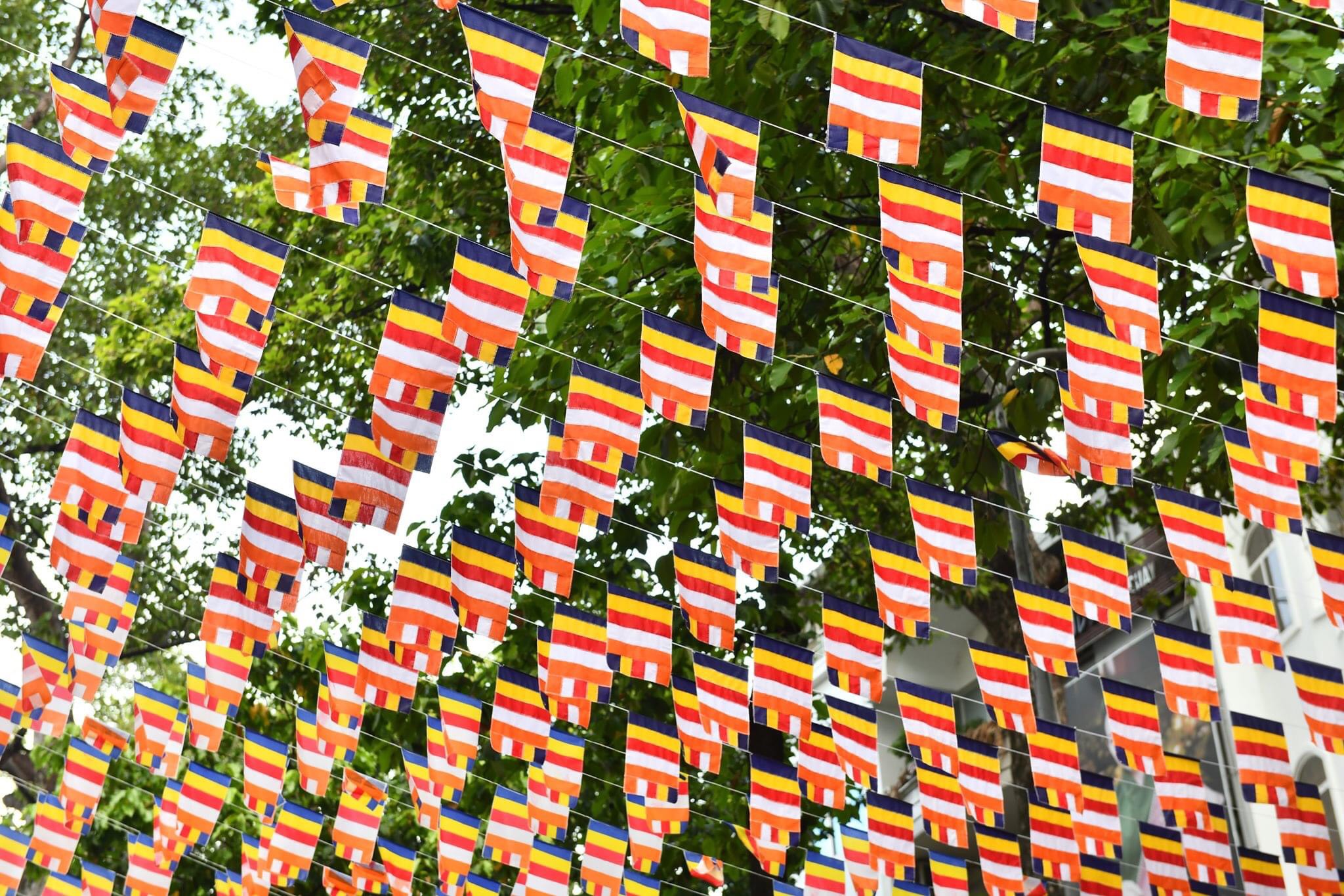 Cờ Dây Phật Giáo